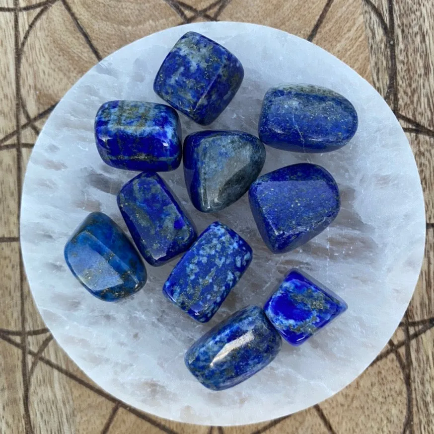 Lapis Lazuli Tumbled / Tumble Stone / Tumbles