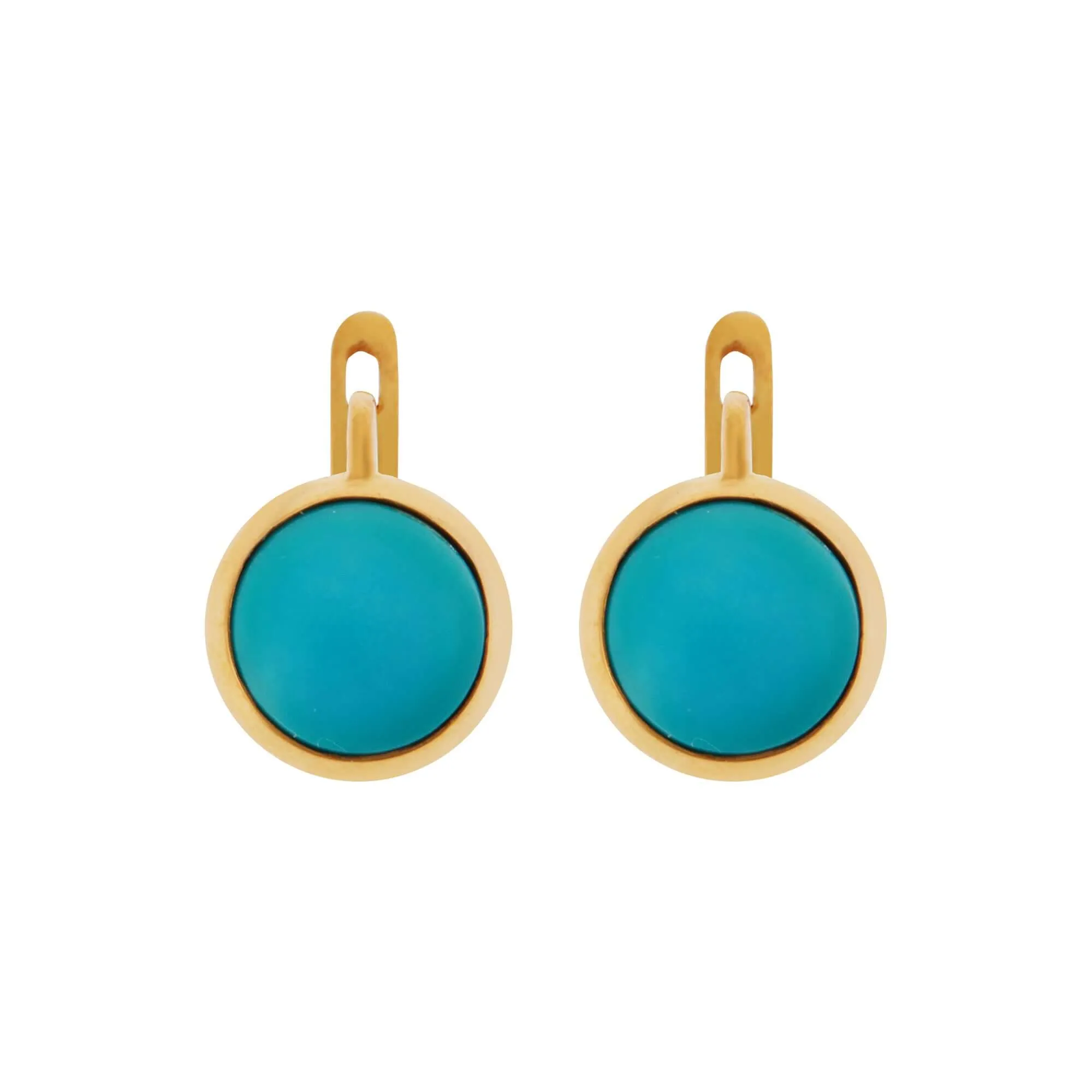 Turquoise Plug Earrings - M